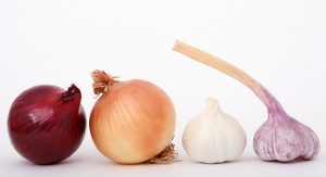 cebollas y verduras similares.